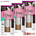 【3個セット】 シエロ(CIELO) ワンデー白髪かくし ダークブラウン 9mL ホーユー(hoyu) 【送料込(北海道除く)】