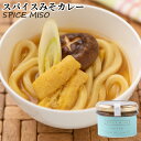 大分県産大豆と裸麦を使用した味噌をベースに使用 スパイスみそカレー 100g 国東半島かね松 安永醸造