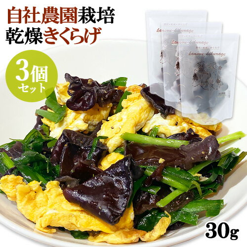 ʬ 100󼫼 礭餲 ɥѥå 25g3ĥå 奦ե (̳ƻ)