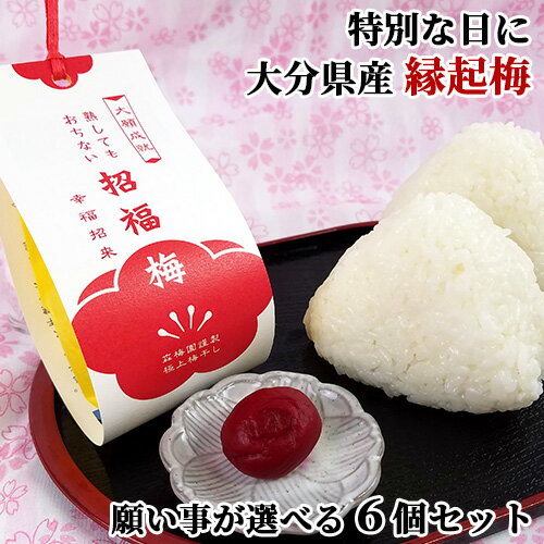 大分県産無添加梅干し 招福梅(一粒入り) 選べる6個セット(大願成就 合格祈願 必勝祈願 恋愛成就 子宝安産 健康長寿) オリジナル品種 縁起物 塩分16% 森梅園【送料無料】