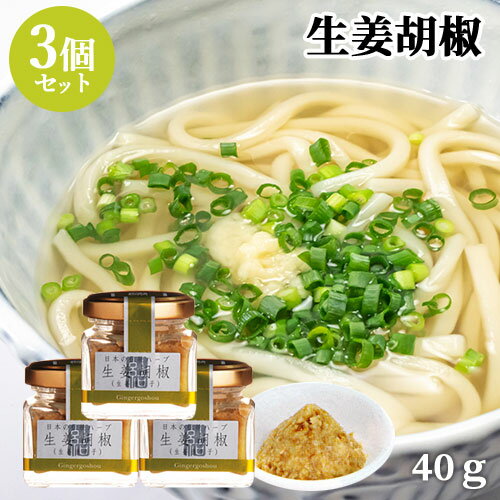 国産生姜と青唐辛子を熟成 生姜胡椒 40g×3個セット 青唐辛子 辛味調味料 鍋 肉料理 田中醤油店 【送料込】