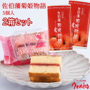 【2箱セット】苺のブラウニー 佐伯藩 菊姫物語 5個入 ケーキ大使館クアンカ・ドーネ【送料無料】(4)