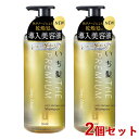 いち髪 プレミアム THE PREMIUM エクストラダメージケアシャンプー (シャイニーモイスト) 480ml×2個セット ポンプ Ichikami クラシエ(Kracie)【送料込(北海道除く)】