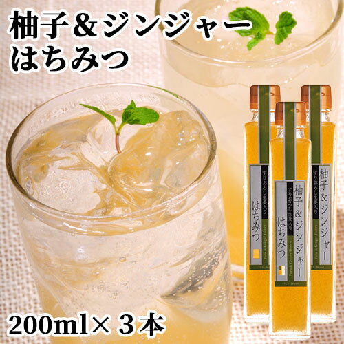 大分県産ゆず使用 柚子ジンジャーはちみつ 200ml×3本セット 生姜シロップ 割り材 ドリンク 調味料 田中醤油店 【送料込】