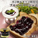 九州産 食品添加物不使用 きび糖ブルーベリージャム 90g 大人のジャム 保存料&ペクチン不使用 アントシアニン 手作りジャム ベリージュファーム