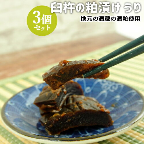 大分県臼杵市産瓜使用 臼杵の粕漬け うり 1枚×3個セット 食品添加物不使用 漬物 漬け物 お惣菜 お茶請け めぐみ工房【送料込(北海道除く)】