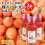 自然から生まれた体にやさしい果実酢 桃薫いちごの地熱ビネガーお試しミニボトル 105mL×3個セット 桃や..