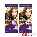 サロンドプロ 泡のヘアカラー・エクストラリッチ 白髪用 2 クリアブラウン 2個セット 医薬部外品 白髪染め ワンプッシュ SALON de PRO ダリヤ(DARIYA)【送料込(北海道除く)】