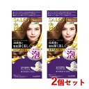 サロンドプロ 泡のヘアカラー・エクストラリッチ 白髪用 3RB ロイヤルブラウン 2個セット 医薬部外品 白髪染め ワンプッシュ SALON de PRO ダリヤ(DARIYA)【送料込(北海道除く)】