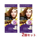 サロンドプロ 泡のヘアカラー・エクストラリッチ 白髪用 3 明るいライトブラウン 2個セット 医薬部外品 白髪染め ワンプッシュ SALON de PRO ダリヤ(DARIYA)【送料込(北海道除く)】