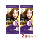 2個セット【4 ライトブラウン】サロンドプロ(SALON de PRO) 泡のヘアカラー・エクストラリッチ(白髪用) ダリヤ(DARIYA) 【送料込】