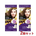 サロンドプロ 泡のヘアカラー・エクストラリッチ 白髪用 4MB モカブラウン 2個セット 医薬部外品 白髪染め ワンプッシュ SALON de PRO ダリヤ(DARIYA)【送料込(北海道除く)】