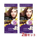 サロンドプロ 泡のヘアカラー・エクストラリッチ 白髪用 5RB ダークロイヤルブラウン 2個セット 医薬部外品 白髪染め ワンプッシュ SALON de PRO ダリヤ(DARIYA)【送料込(北海道除く)】
