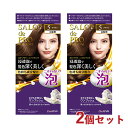 サロンドプロ 泡のヘアカラー・エクストラリッチ 白髪用 5 ブラウン 2個セット 医薬部外品 白髪染め ワンプッシュ SALON de PRO ダリヤ(DARIYA)【送料込(北海道除く)】