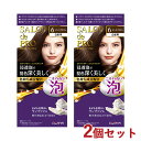 サロンドプロ 泡のヘアカラー・エクストラリッチ 白髪用 6 ダークブラウン 2個セット 医薬部外品 白髪染め ワンプッシュ SALON de PRO ダリヤ(DARIYA)【送料込(北海道除く)】
