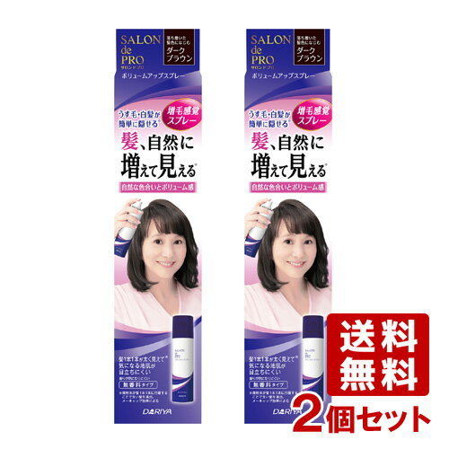 2個セット ボリュームアップスプレー 100g サロンドプロ(SALON de PRO) ダリヤ(DARIYA)