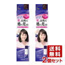 2個セット【ダークブラウン】 ボリュームアップスプレー 100g サロンドプロ(SALON de PRO) ダリヤ(DARIYA)【送料込】