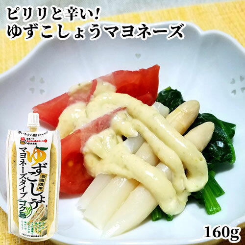 柚子胡椒屋が作った パウチ入り ゆずこしょう マヨネーズタイプ 160g 岩塩&米みそ入り 万能調味料 ドレッシング 千歳村農産加工 柚子胡椒屋が作った パウチ入り ゆずこしょう マヨネーズタイプ 160g 岩塩&米みそ入り 万能調味料 ドレッシング 千歳村農産加工