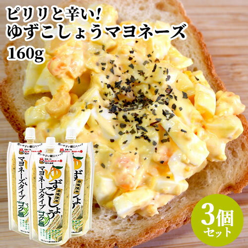 柚子胡椒屋が作った パウチ入り ゆずこしょう マヨネーズタイプ 160g×3個セット 岩塩＆米みそ入り 万能調味料 ドレッシング 千歳村農産加工【送料込】