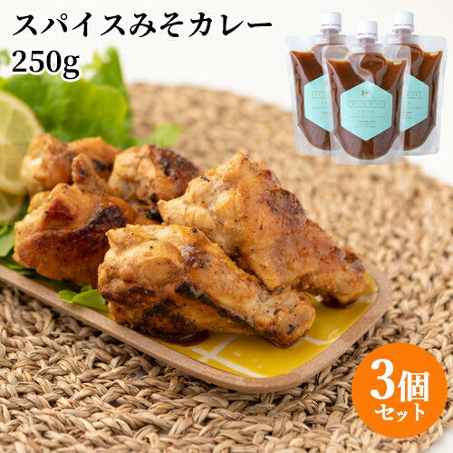 大分県産大豆と裸麦を使用した味噌をベースに使用 スパイスみそカレー 250g×3個セット 国東半島かね松 安永醸造【送料込(北海道除く)】