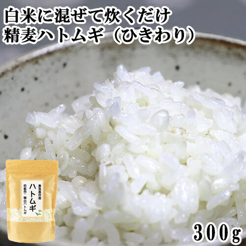 大分県豊後高田市産ハトムギ100%使用 白米に混ぜて炊くだけ 炊飯用 精麦ハトムギ(ひきわり) 300g 国産 豊後高田そば道場 1