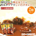 2個セット 日本一の大分県産 肉厚しいたけが丸ごと入った 椎茸カレー 1食分90g 大分県椎茸農業協同組合 が厳選した干し椎茸「若芽どんこ」たっぷり使用【メール便送料無料】