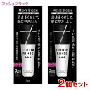 メンズビゲン(MENS BIGEN) カラーリンス トリプルプラス アッシュブラック 120g×2個セット ホーユー(hoyu) 【送料込】 男性用 白髪染め