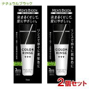 メンズビゲン(MENS BIGEN) カラーリンス トリプルプラス ナチュラルブラック 120g×2個セット ホーユー(hoyu) 【送料込】 男性用 白髪染め