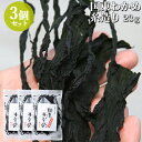 大分県産 国東わかめ 糸造り 23g×3個セット 養殖ワカメ 海藻 サラダ 味噌汁 酢の物 豊後水道 竹永海商【送料込(北海道除く)】