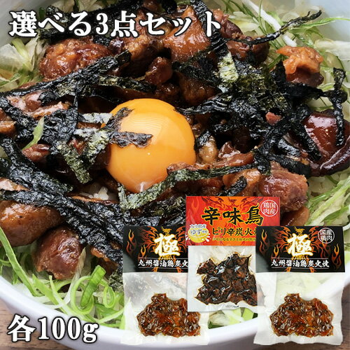 おつまみにおすすめ ピリ辛鶏炭火焼 辛味鳥 100g・九州醤油 鶏炭火焼 極 100g 選べる3点セット HellCompany ヘルカンパニー【メール便送料無料】