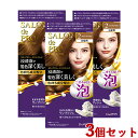 サロンドプロ 泡のヘアカラー・エクストラリッチ 白髪用 2 クリアブラウン 2個セット 医薬部外品 白髪染め ワンプッシュ SALON de PRO ダリヤ(DARIYA)【送料込(北海道除く)】