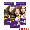 3個セット【3RB ロイヤルブラウン】サロンドプロ(SALON de PRO) 泡のヘアカラー・エクストラリッチ(白髪用) ダリヤ(DARIYA)【送料込】