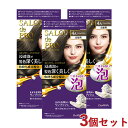 サロンドプロ 泡のヘアカラー・エクストラリッチ 白髪用 4A アッシュブラウン 3個セット 医薬部外品 白髪染め ワンプッシュ SALON de PRO ダリヤ(DARIYA) 【送料込(北海道除く)】