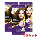 3Zbgy5 uEzThv(SALON de PRO) ÃwAJ[EGNXgb`(p) _(DARIYA)yz