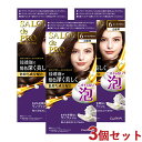 サロンドプロ 泡のヘアカラー・エクストラリッチ 白髪用 6 ダークブラウン 3個セット 医薬部外品 白髪染め ワンプッシュ SALON de PRO ダリヤ(DARIYA)【送料込(北海道除く)】