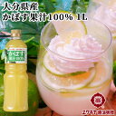 大分県産かぼす使用 かぼす果汁100％ 360ml×3 合成添加物不使用 かぼす本家 【送料無料】