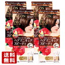 【5ナチュラルブラウン＆4ライトブラウン】サロンドプロ(SALON de PRO) ヘアマニキュアスピーディ(白髪用) 各2個セット(計4個) ダリヤ(DARIYA)【送料無料】【今だけ限定SALE】