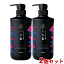 いち髪 なめらかスムースケア コンディショナー ポンプ 480g×2個セット Ichikami クラシエ(Kracie)【送料込(北海道除く)】【今だけ限定セール】