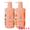 いち髪 濃密W保湿ケア シャンプー ポンプ 480ml×2個セット Ichikami クラシエ(Kracie)【送料込(北海道除く)】【今だけ限定セール】