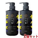 2個セット いち髪(Ichikami) カラーケア&ベーストリートメントin コンディショナー ポンプ クラシエ(Kracie)【送料込】【今だけ限定SALE】