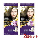 サロンドプロ 泡のヘアカラー・エクストラリッチ 白髪用 3A 明るいアッシュブラウン 2個セット 医薬部外品 白髪染め ワンプッシュ SALON de PRO ダリヤ(DARIYA)【送料込(北海道除く)】
