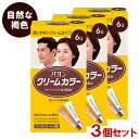 パオン クリームカラー おしゃれ白髪染め 6G 自然な褐色×3個セット クリームタイプ 部分染め シュワルツコフ ヘンケル PAON【送料込(北海道除く)】
