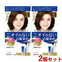 サロンドプロ 無香料ヘアカラー 早染めクリーム 白髪用 2個セット 4 ライトブラウン SALON de PRO ダリヤ(DARIYA)【送料込(北海道除く)】...