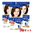 サロンドプロ 無香料ヘアカラー 早染めクリーム 白髪用 3個セット 4 ライトブラウン SALON de PRO ダリヤ(DARIYA)【送料込(北海道除く)】【今だけ限定SALE】