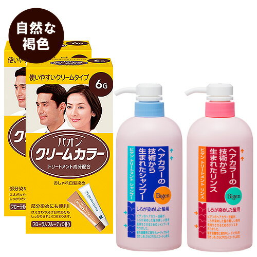 ヘンケル パオン クリームカラー 6G 自然な褐色 白髪染め 2個 ＆ ホーユー ビゲン トリートメントシャンプー＆リンス 各600ml【送料込】