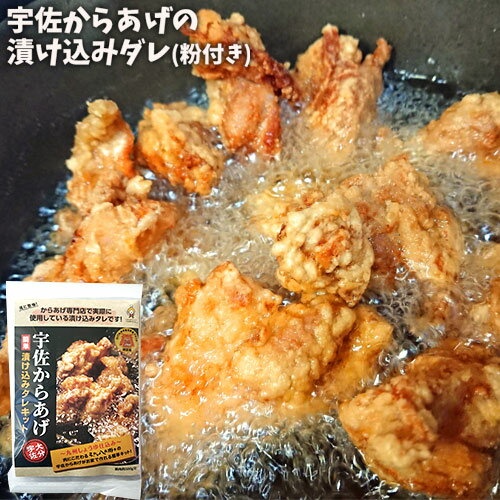 宇佐からあげの漬け込みダレ&からあげ粉セット お試し85g+80g(唐揚げ下味用・鶏肉約500g用) カラアゲ調味液 お惣菜の素 常温 ナルミ総合企画 1