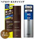 HGスーパーハードスプレー 230g＆マッシーニ クイックヘアカバー ブラウン 140g 増毛スタイリングセット 資生堂 ウテナ【送料込】