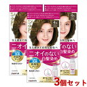 サロンドプロ 無香料ヘアカラー 早染め乳液 4A アッシュブラウン 3個セット 白髪染め SALON de PRO ダリヤ(DARIYA)【送料込】【今だけ限定SALE】