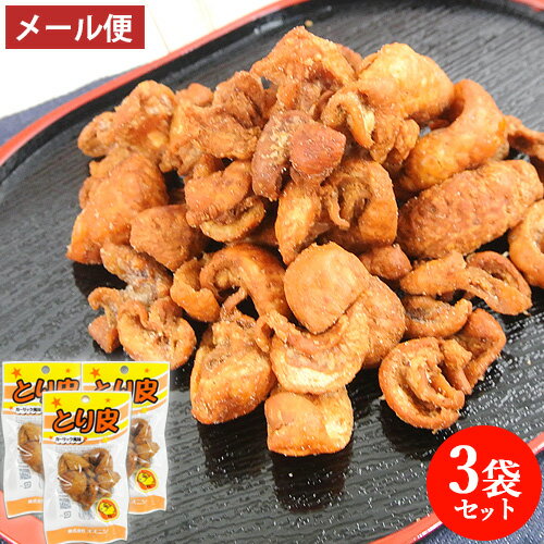 オオニシ とり皮 13g×3個セット 鶏皮揚げ とりかわ揚げ トリカワ揚げ とり皮揚げ 