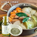 大分県産自然栽培和草ハーブ使用 香月塩 スープ・煮込み用 60g ハーブソルト 国産香草(スイートバジル/シナモンバジル/マジョラム/ローリエ/チャイブ/どくだみ) 化学調味料不使用 お料理 kaoluna farm